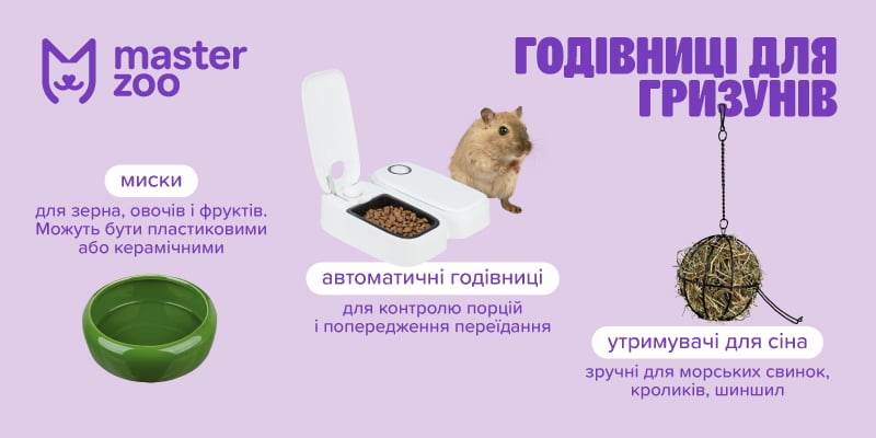 Інфографіка годівниці для гризуна | MasterZoo