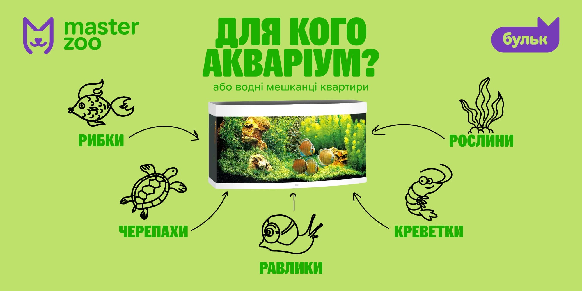 Інфографіка акваріуми | MasterZoo