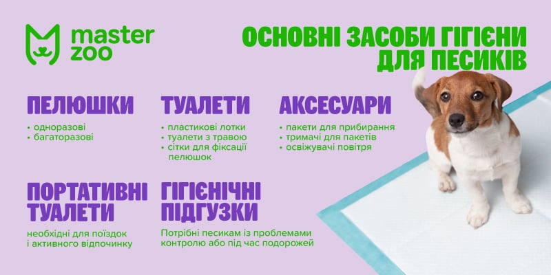 інфографіка пелюшки для собак | MasterZoo