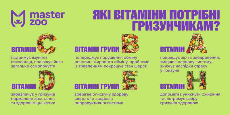 Інфографіка вітаміни та ветпрепарати для гризуна | MasterZoo