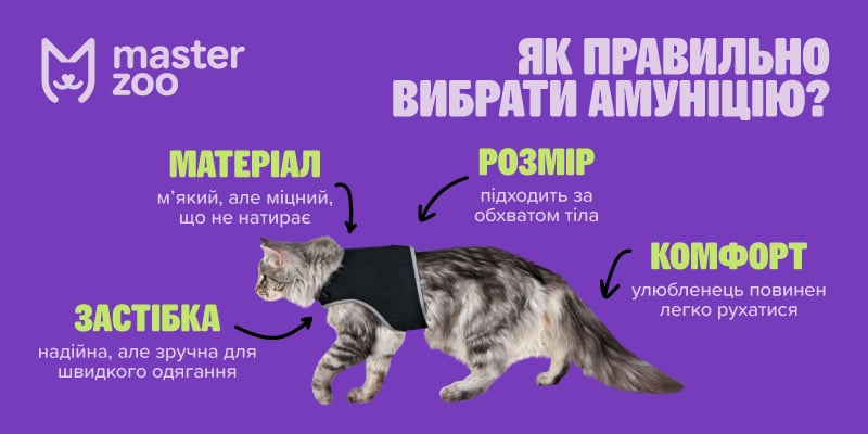 Інфографіка амунфція для кота | MasterZoo