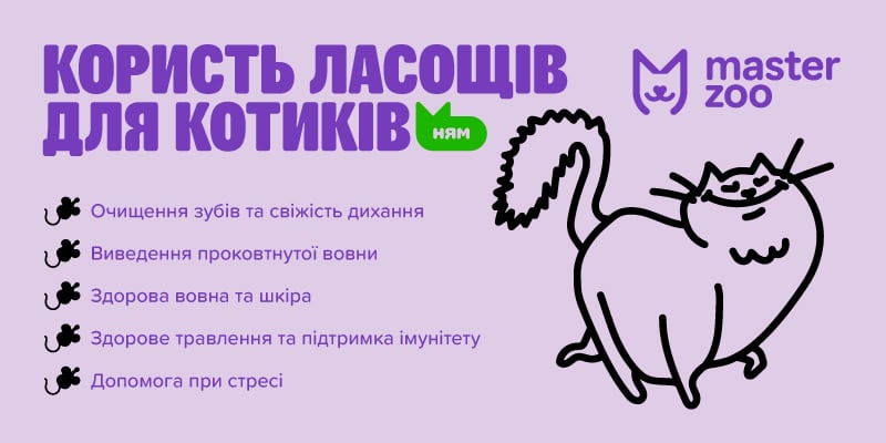 Інфографіка корисні ласощі для кота | MasterZoo