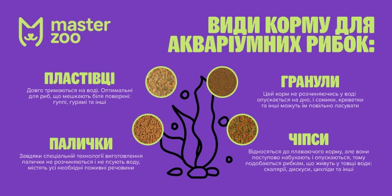 інфографіка корм для рыб|  MasterZoo