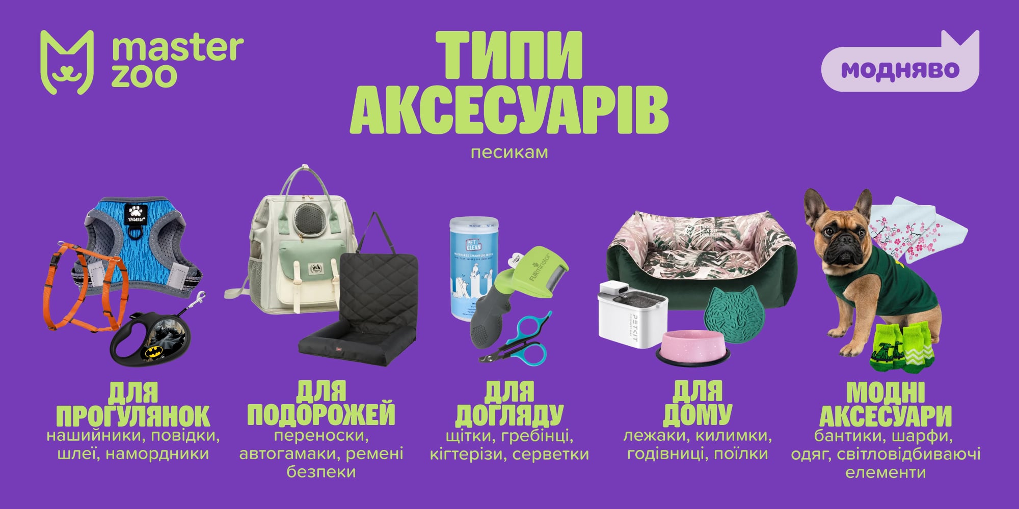 інфографіка аксесуари для собак |  MasterZoo