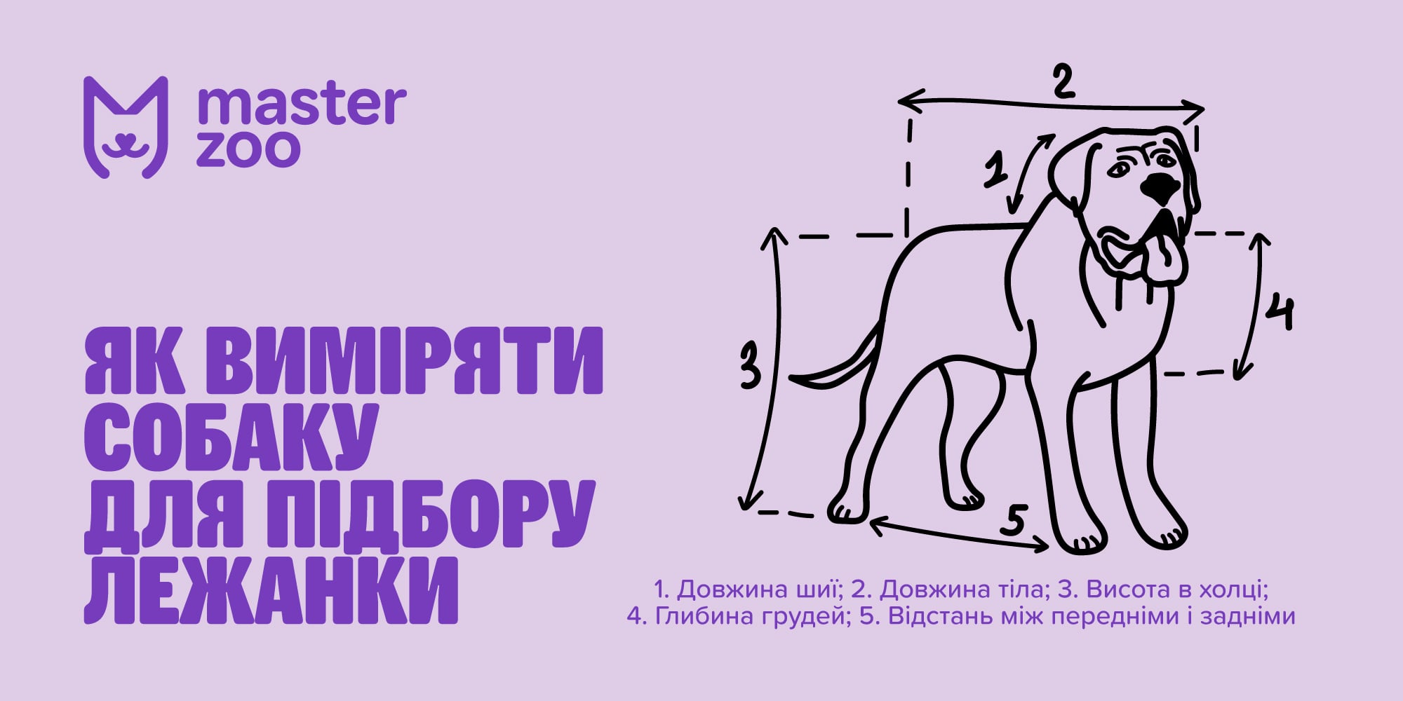 Інфографіка лежки для собак | MasterZoo
