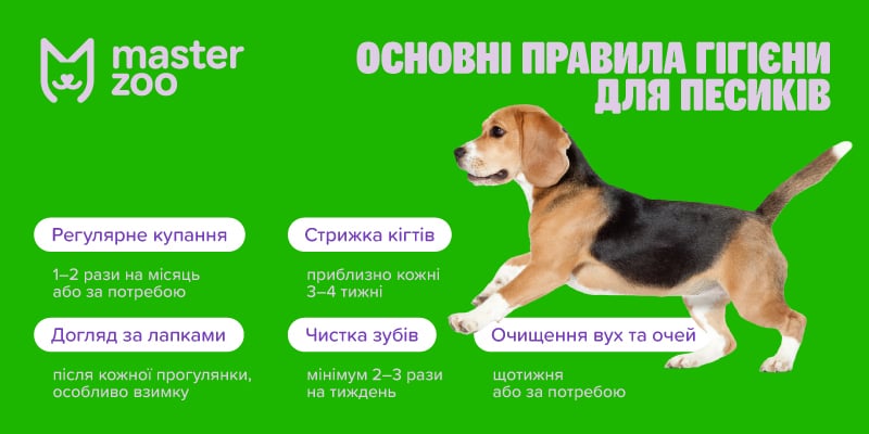 інфографіка засоби догляду |  MasterZoo