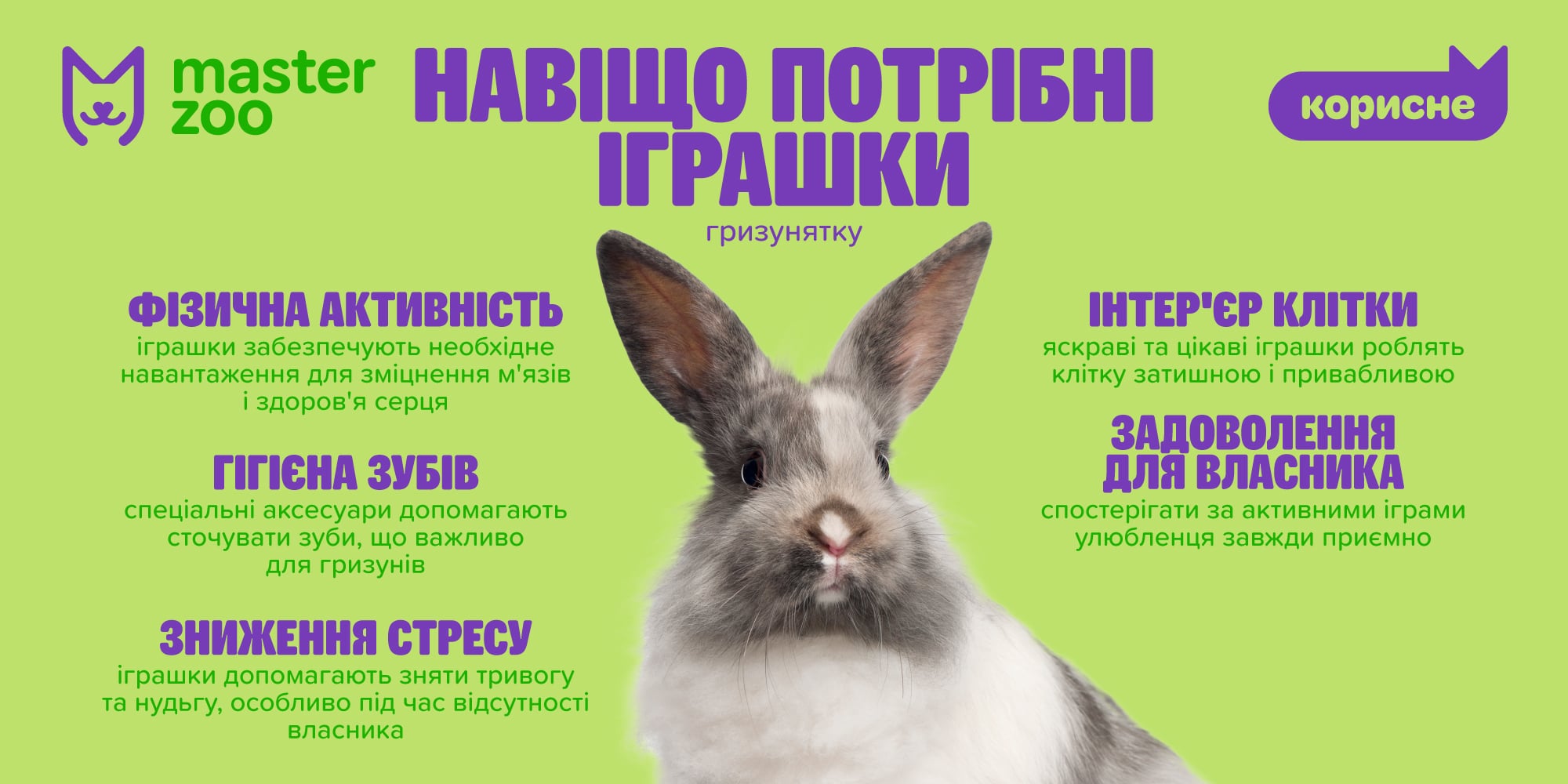 Інфографіка іграшки для гризуна |  MasterZoo