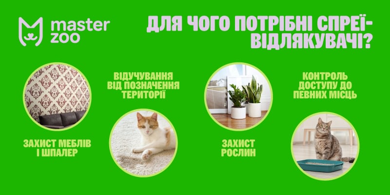 Інфографіка спецзасоби для кота |  MasterZoo