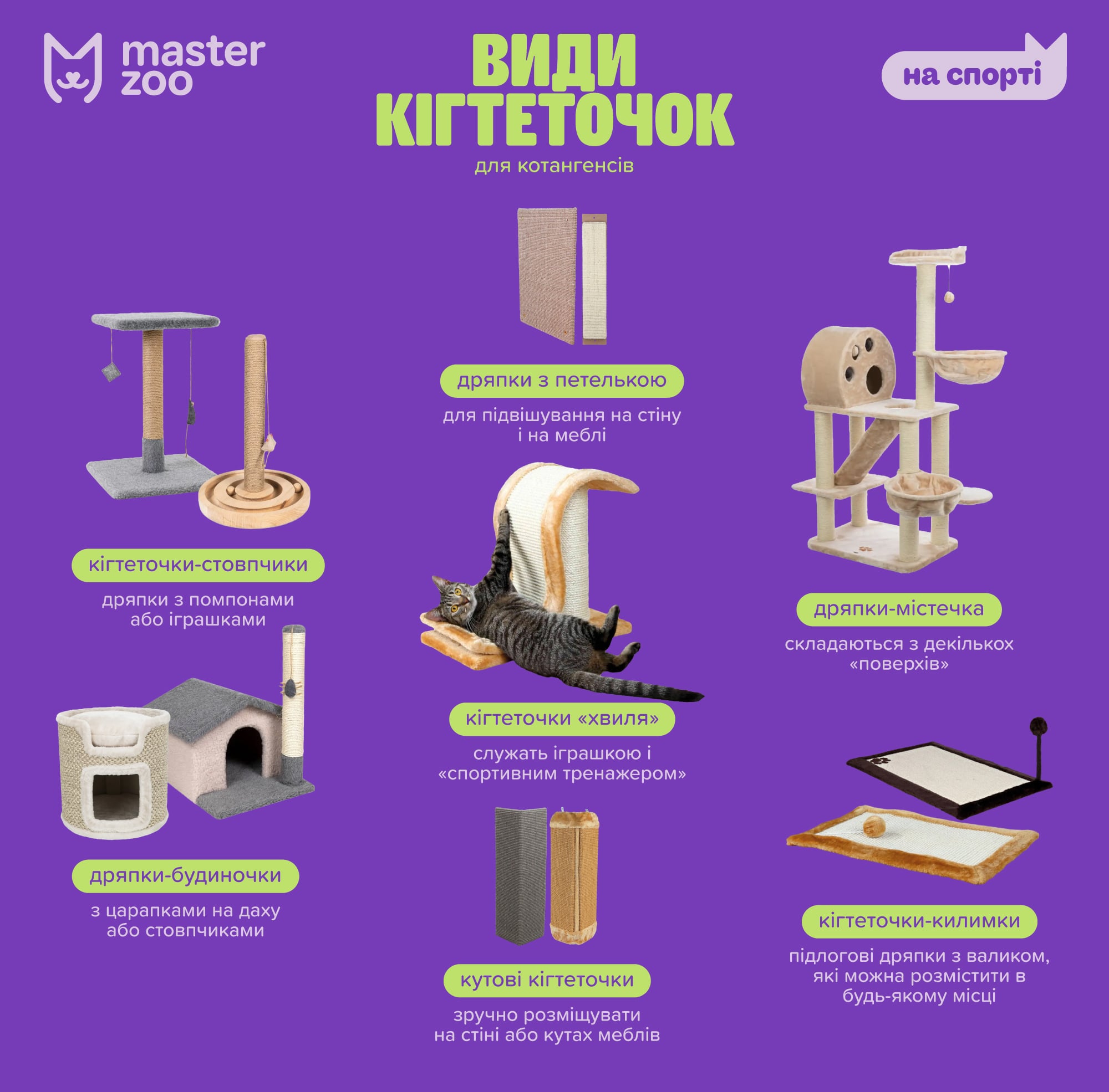 Инфографика дряпка для кошки | MasterZoo