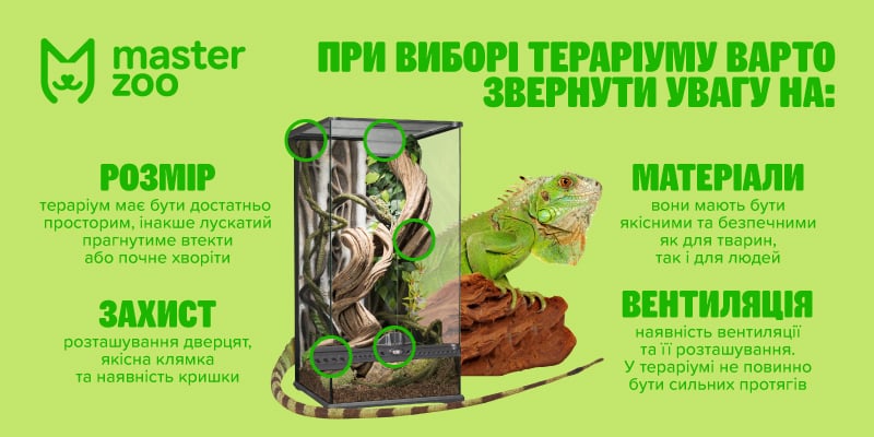 тераріуми і фаунаріуми | MasterZoo