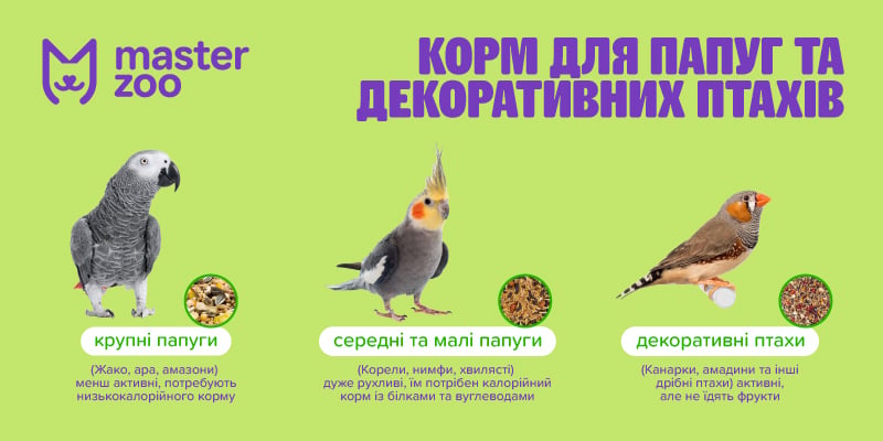 Інфографіка корм для папуг | MasterZoo