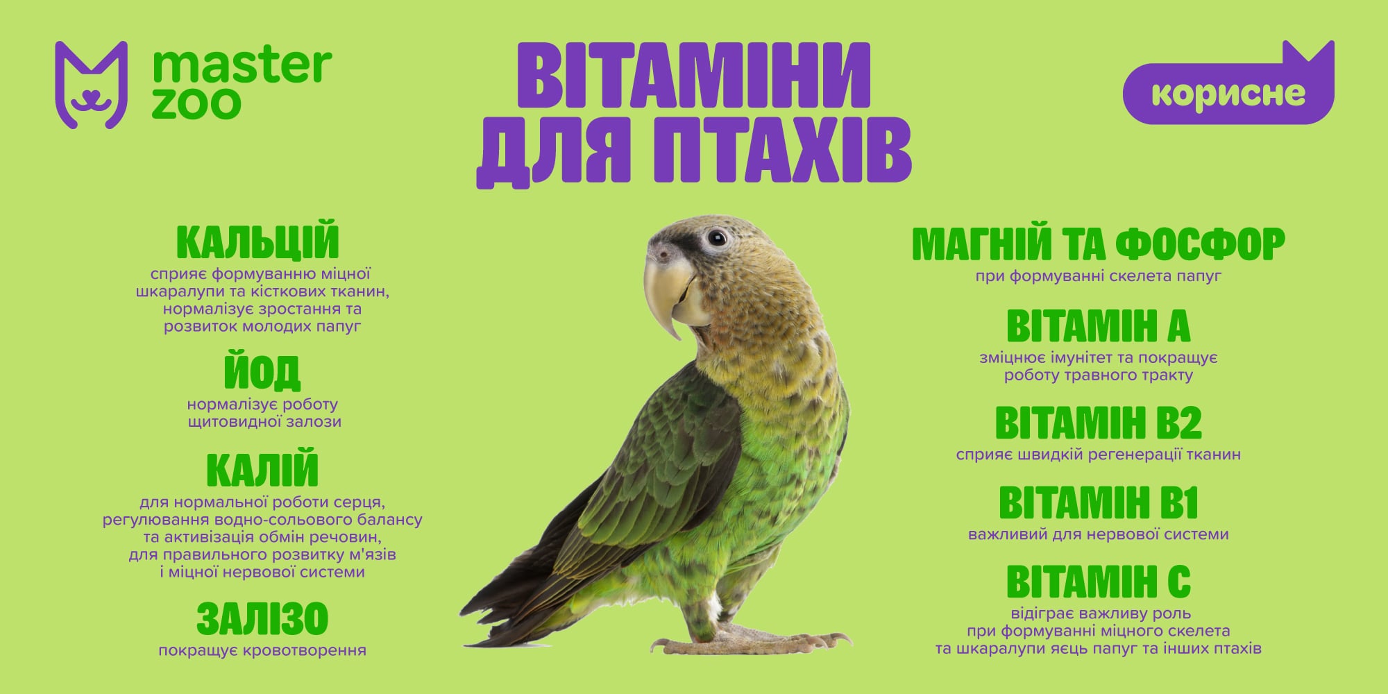 Інфографіка вітаміни для птахів| MasterZoo