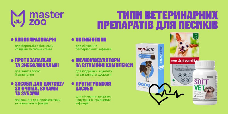 інфографіка ветпрепарати для собак | MasterZoo