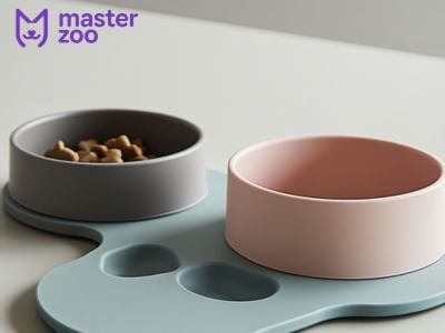 Посуд для собак | Masterzoo