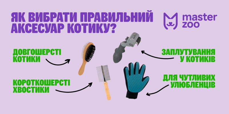 Інфографіка аксесуари для кота |  MasterZoo