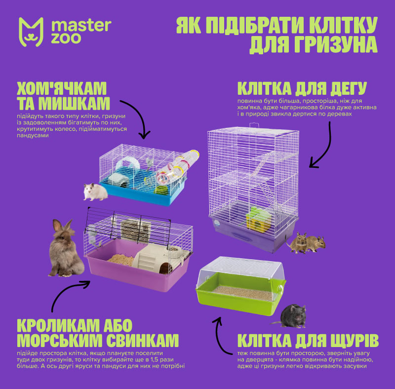 інфографік клітка для гризуна | MasterZoo
