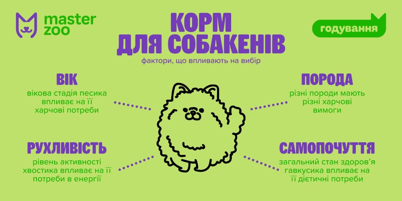 Инфографика как вибрать корм |  MasterZoo