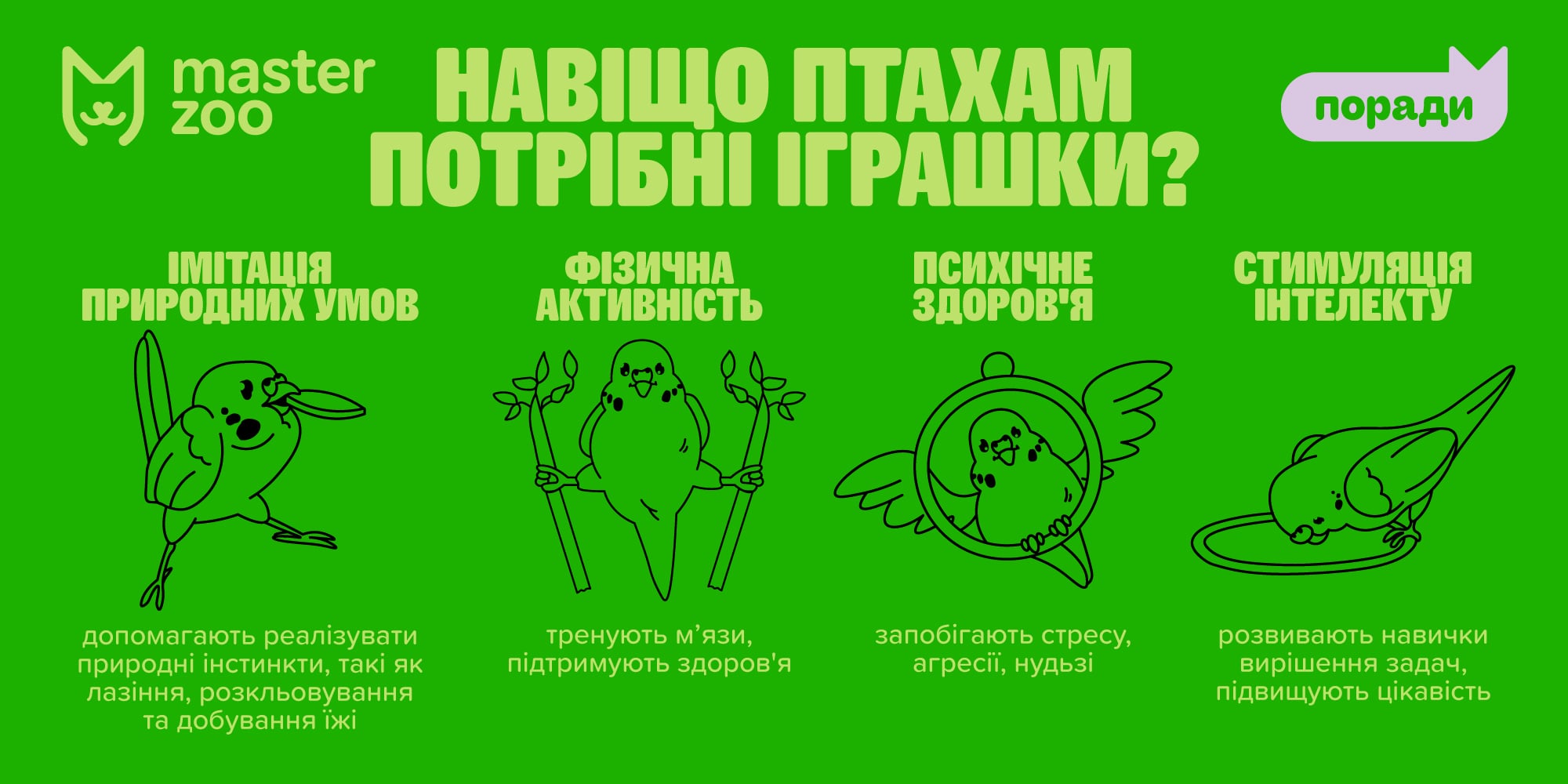 Інфографіка іграшки для птахів| MasterZoo