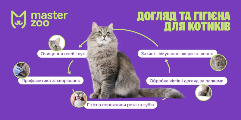 догляд та гігієна для котів   |  MasterZoo