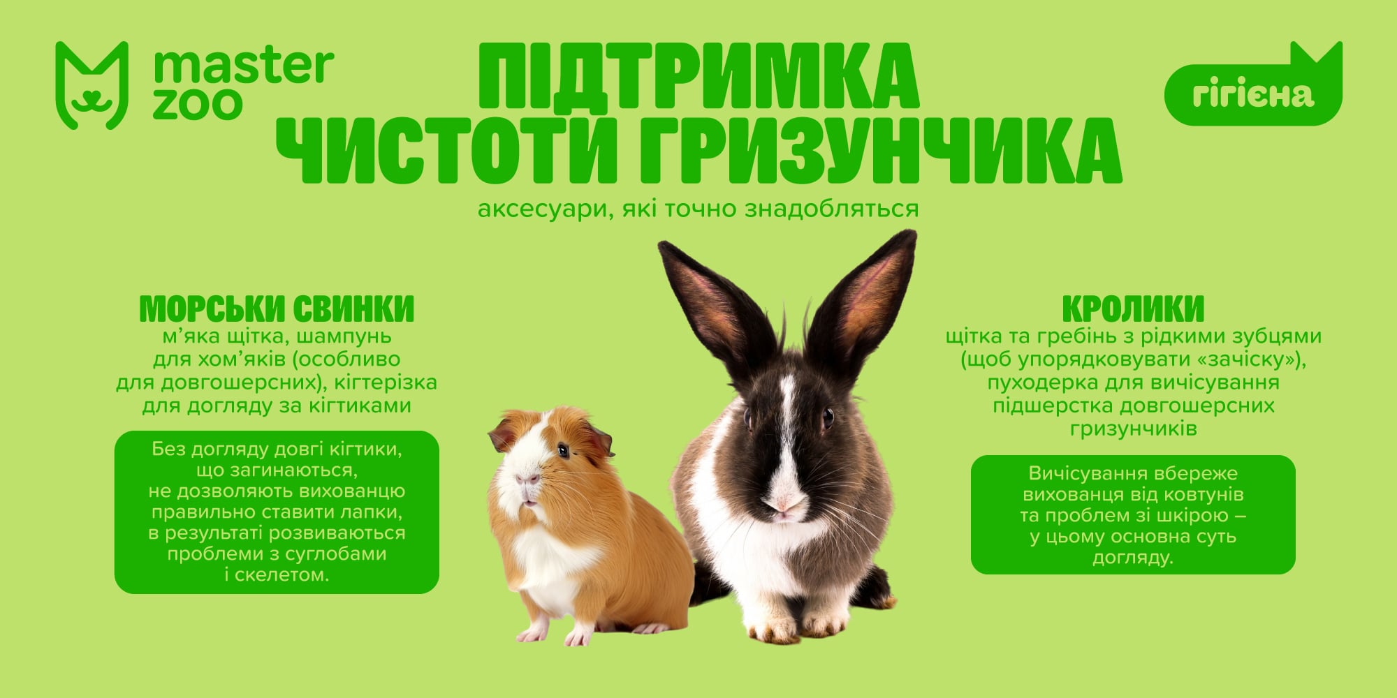 Інфографіка гігієнічні засоби для гризуна |  MasterZoo